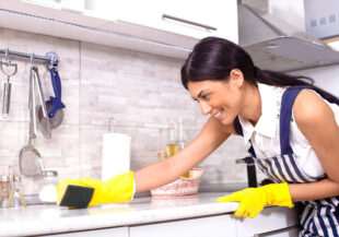 Kitchen/Housekeeping Hygiene Chemicals